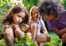 especializacao-em-ensino-de-ciencias-naturais-e-matematica