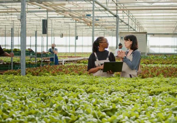 inscricoes-abertas-para-a-especializacao-gratuita-em-sistemas-de-producao-vegetal