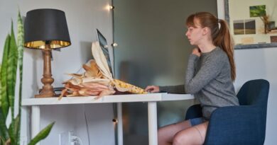 secult-mg-oferece-mil-vagas-em-curso-gratuito-sobre-infograficos-para-dados-turisticos