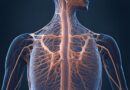 especializacao-gratuita-em-ensino-de-ciencias-e-biologia-abre-20-vagas-para-2026