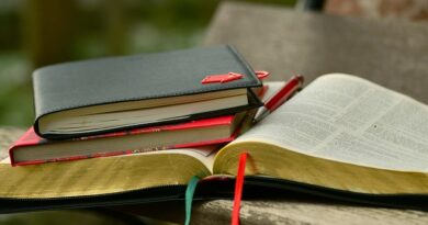 especializacao-gratuita-em-sistemas-agroalimentares-seleciona-alunos-para-2026