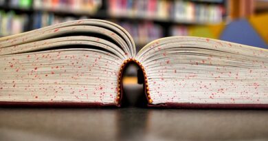 unipampa-abre-150-vagas-em-especializacao-gratuita-a-distancia-em-gestao-estrategica-em-turismo