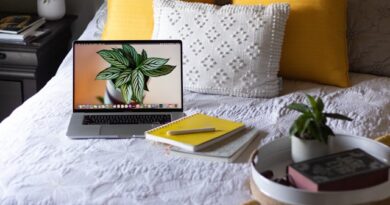 especializacao-gratuita-online-em-dados-e-sistemas-de-informacao-para-o-sistema-unico-de-saude-abre-100-vagas