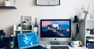 curso-gratuito-online-de-educacao-museal-e-comunicacao-publica-da-ciencia-recebe-inscricoes