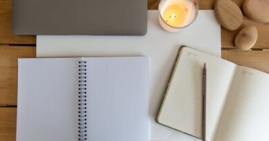 mestrado-gratuito-em-neurociencia-cognitiva-e-comportamento-abre-vagas