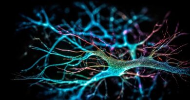 ufabc-abre-inscricoes-para-curso-gratuito-online-sobre-neurociencia