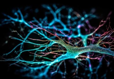 ufabc-abre-inscricoes-para-curso-gratuito-online-sobre-neurociencia