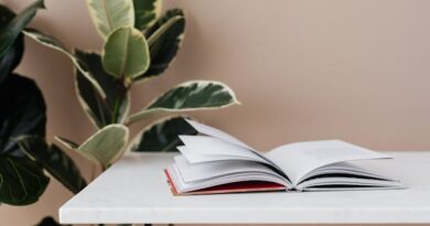 ifb-abre-vagas-nos-cursos-gratuitos-de-licenciatura-em-geografia-licenciatura-letras-ingles-tecnologia-em-gastronomia-e-tecnologia-em-hotelaria