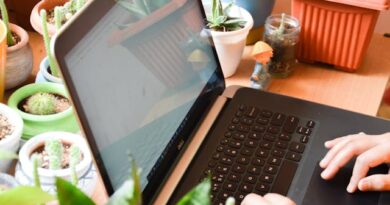uncisal-abre-750-vagas-em-cursos-gratuitos-de-especializacao-a-distancia
