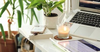 terminam-em-30-06-as-inscricoes-para-os-58-cursos-gratuitos-online-de-gestao-e-negocios-com-certificado