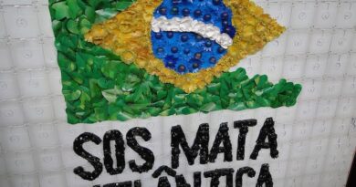 fundacao-sos-mata-atlantica-para-curso-gratuito-e-100-online