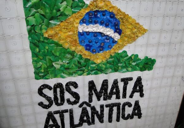 fundacao-sos-mata-atlantica-para-curso-gratuito-e-100-online