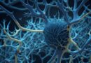 comecam-em-10-08-as-inscricoes-para-a-especializacao-gratuita-em-neuroeducacao