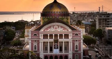 especialização-gratuita