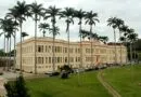 itália-cursos-gratuitos-online-mestrado-doutorad-ufv-2021