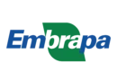cursos-online-gratuitos-Embrapa-2021