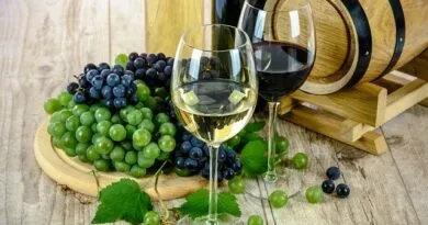 especialização-gratuita-Tecnologia-de-Bebidas-Alcoólicas