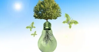 Adequação-Ambiental