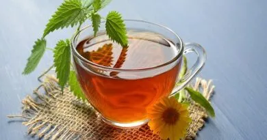 curso-gratuito-ensina-sobre-o-uso-seguro-das-plantas-medicinais
