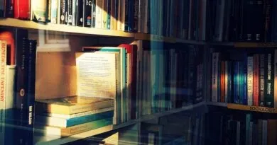 inscricoes-abertas-para-especializacao-gratuita-em-educacao-socioambiental