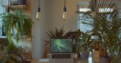 cursos-de-qualificacao-gratuitos-do-ifsc-recebem-inscricoes