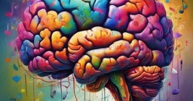 curso-online-gratuito-sobre-neuroeducacao-abre-15-mil-vagas