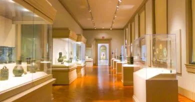 Especialização gratuita a distância em Museologia abre 85 vagas