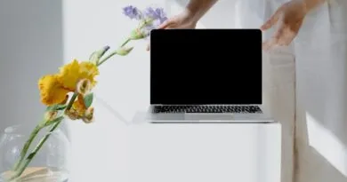 cursos-gratuitos-100-online-do-ifrr-recebem-inscricoes