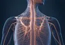 especializacao-gratuita-em-ensino-de-ciencias-e-biologia-abre-20-vagas-para-2026