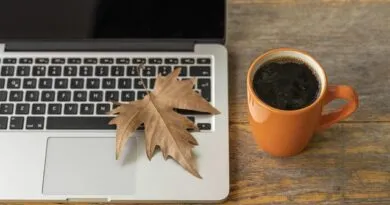 curso-gratuito-online-em-educacao-inclusiva-formacao-de-profissionais-para-apoio-escolar-abre-2-mil-vagas