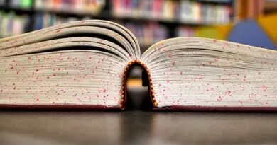 unipampa-abre-150-vagas-em-especializacao-gratuita-a-distancia-em-gestao-estrategica-em-turismo