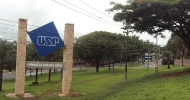 usp-abre-inscricoes-para-quatro-cursos-gratuitos-100-online