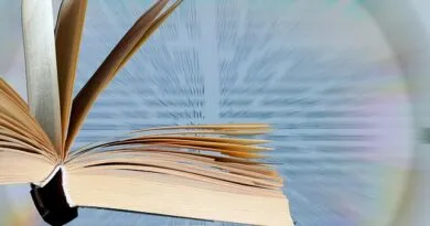 mestrado-profissional-da-ufmg-em-gestao-de-servicos-de-saude-divulga-processo-seletivo