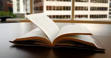 especializacao-gratuita-ead-em-gestao-publica-municipal-abre-150-vagas