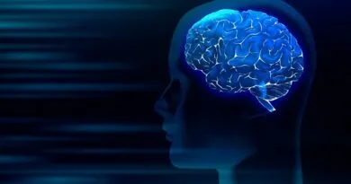 inscricoes-abertas-para-o-mestrado-gratuito-em-neurociencia-cognitiva-e-comportamento