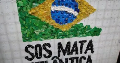 fundacao-sos-mata-atlantica-para-curso-gratuito-e-100-online