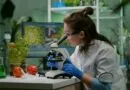 especializacao-gratuita-em-biotecnologia-abre-vagas-para-o-segundo-semestre
