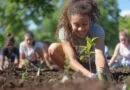 inscricoes-abertas-para-a-especializacao-gratuita-online-em-educacao-ambiental