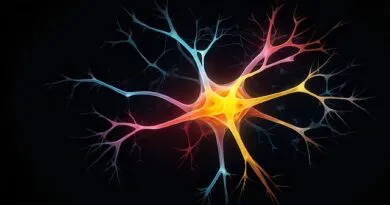 puc-rs-abre-inscricoes-para-curso-gratuito-e-totalmente-online-de-neurociencia-do-desenvolvimento